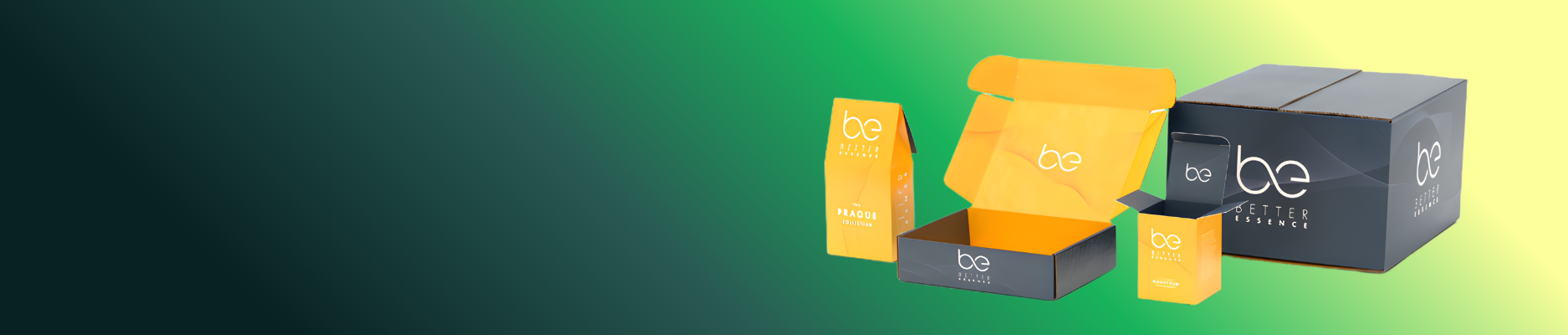 Hộp carton nắp gài