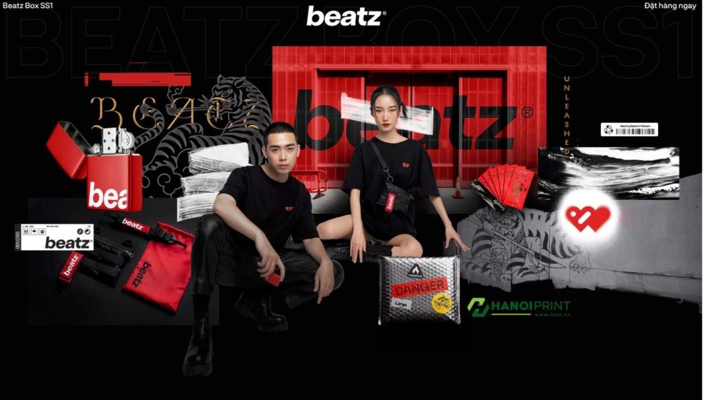 In hộp cứng cao cấp cho BEATZ