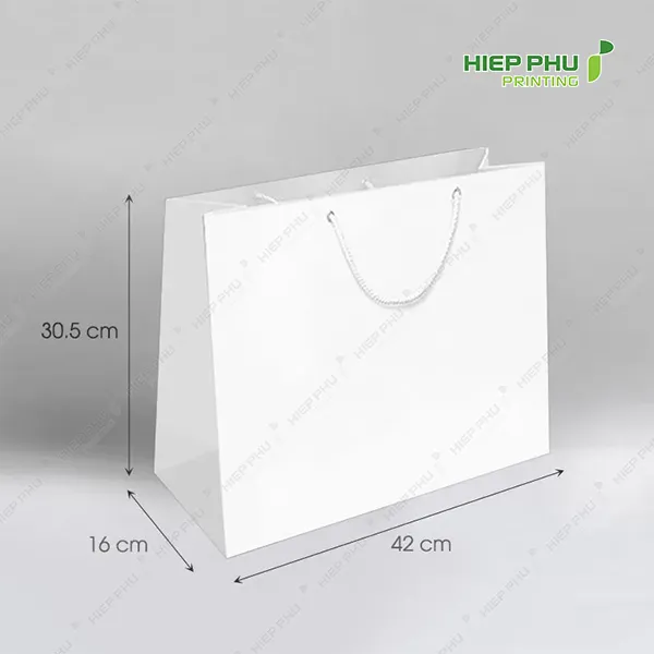 Hộp giấy quai xách