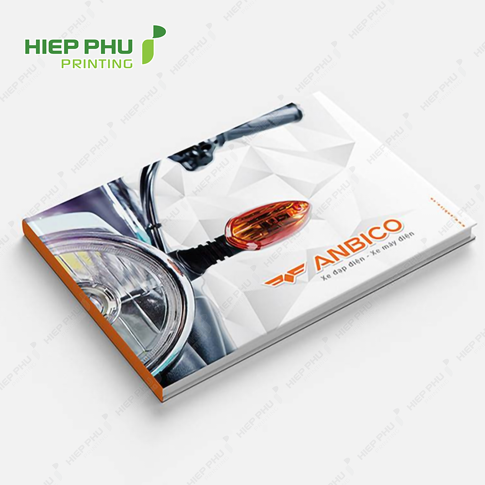 In Catalogue bìa cứng