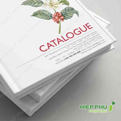 In Catalogue bìa cứng