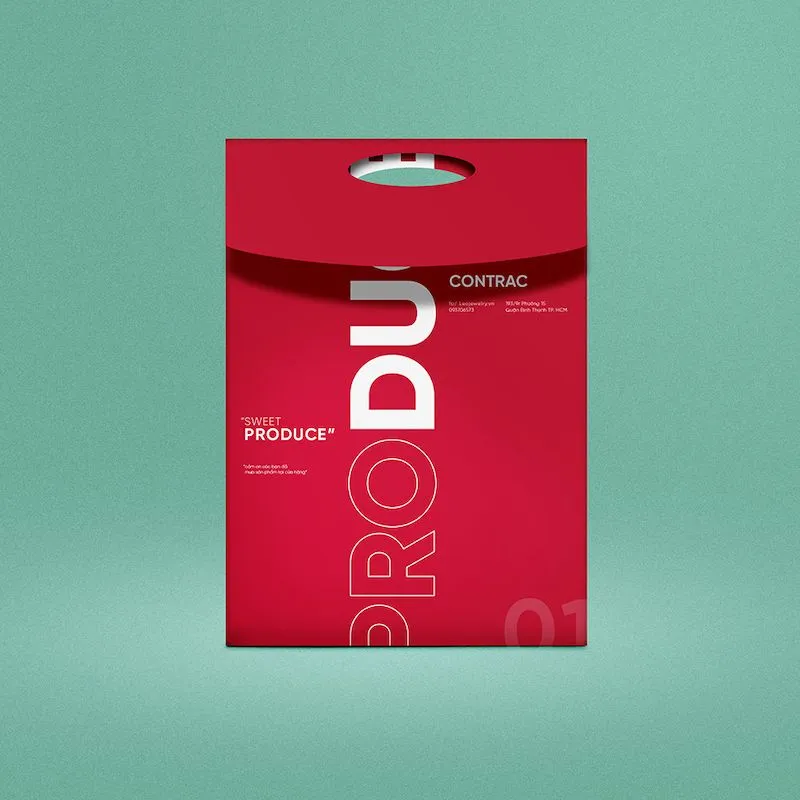 Túi giấy quai xách - nắp gập